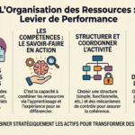 l'organisation des ressources dans l'entreprise cejm